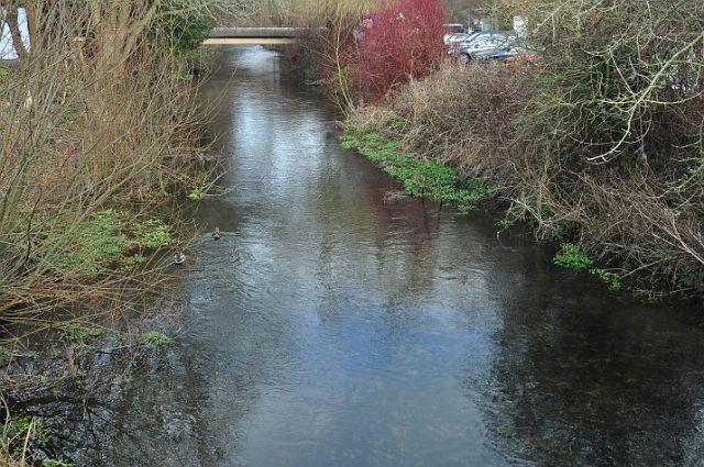 25 02 12_6752.JPG - RIVER ALLEN - WIMBORNE,  DORSET
